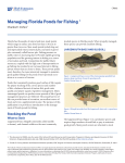 Managing Florida Ponds for Fishing - EDIS