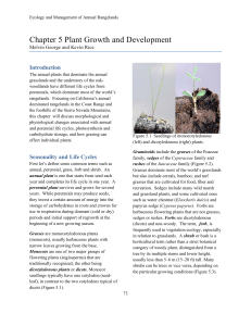 Chapter 5 Plant Growth and Development
