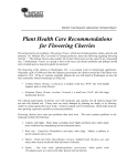 Plant Health Care Recommendations for Flowering Cherries