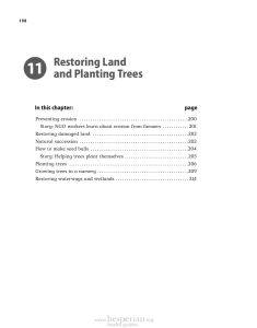 Restoring Land and Planting Trees