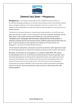 Element Fact Sheet – Phosphorus