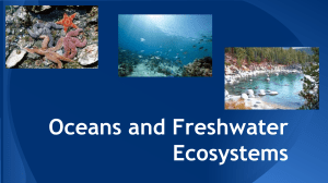 Oceans and Freshwater Ecosystems