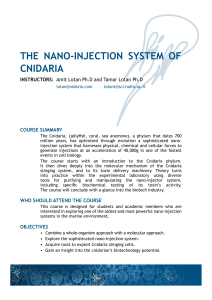 The NaNo-INjecTIoN SySTem of cNIdarIa