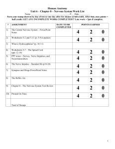 Human Anatomy Unit 6 – Chapter 8 – Nervous System Work List