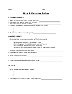 Organic Chemistry Review