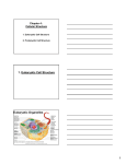 1. Eukaryotic Cell Structure Eukaryotic Organelles