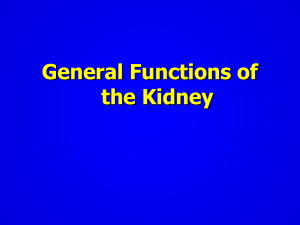 Renal functions and GF. - Copy