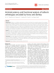 Antiviral potency and functional analysis of tetherin orthologues