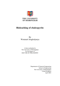 Bioleaching of chalcopyrite - eTheses Repository