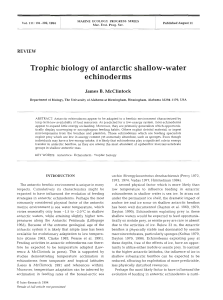 Trophic biology of antarctic shallow