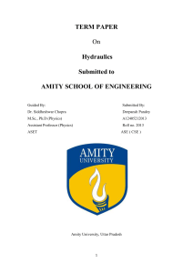 TERM PAPER On Hydraulics Submitted to AMITY SCHOOL OF