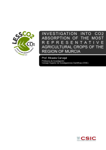 investigation into co2 absorption of the most