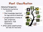 Introduction to Flowering Plants: