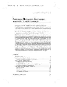 patterning mechanisms controlling vertebrate limb development