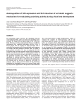 Shh signalling and cell death in limb development