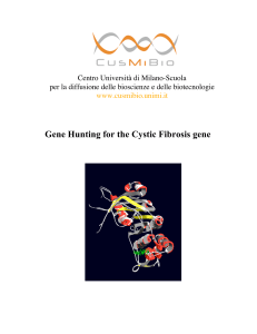Gene Hunting for the Cystic Fibrosis gene - CusMiBio