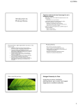 Introduction to Photosynthesis