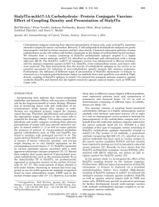 SialylTn-mAb17-1A Carbohydrate−Protein Conjugate Vaccine