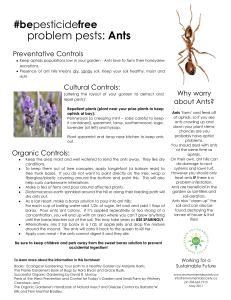 problem pests: Ants - Saskatchewan Environmental Society