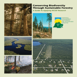 Conserving Biodiversity Through Sustainable Forestry