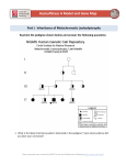 Arylsulfatase A Model and Gene Map Worksheet