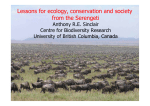 Lessons for ecology, conservation and society from the Serengeti