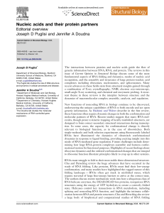Nucleic acids and their protein partners