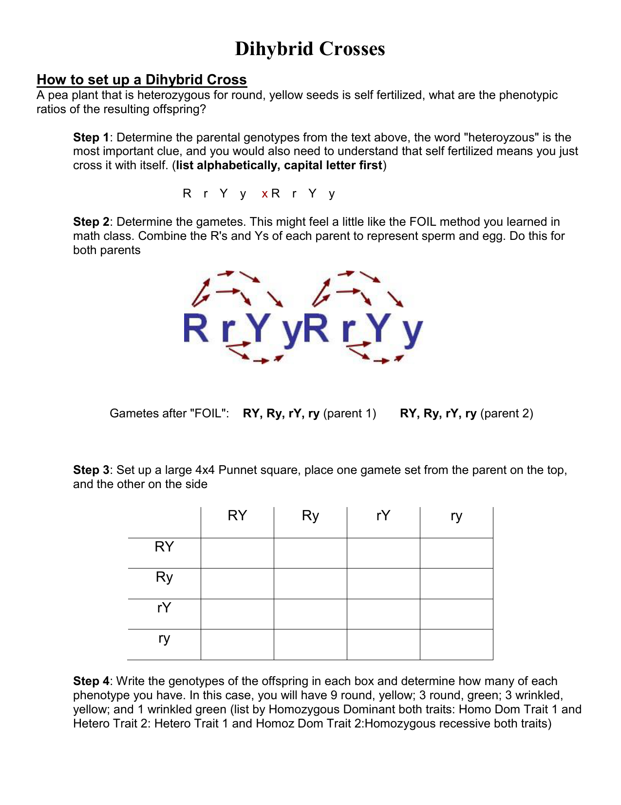 Dihybrid Crosses