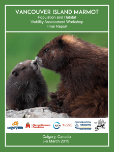 Vancouver Island Marmot Population and Habitat Viability