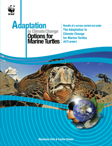 Options for Marine Turtles - Organization of American States
