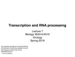 Transcription and RNA processing