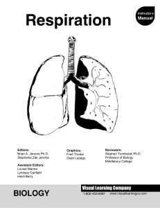 Respiration Guide.id