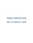 forest protection