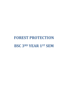 forest protection