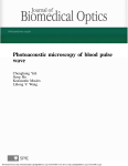 Photoacoustic microscopy of blood pulse wave
