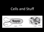 Cells and Stuff - Mr. Cloud`s Class