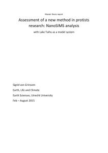 Assessment of a new method in protists research: NanoSIMS analysis
