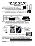 Remarkable Bats - Indiana County Parks and Trails