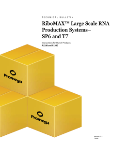 RiboMAX(TM) Large Scale RNA Production Systems