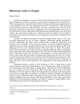 Ribbentrop Final Paper- Sean Colvin (Final Copy)