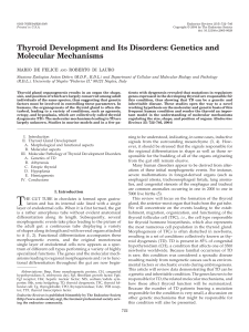 Thyroid Development and Its Disorders: Genetics and Molecular