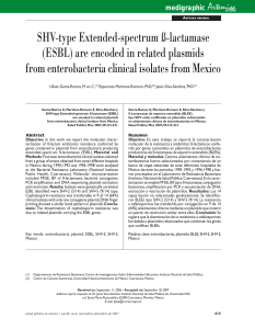 SHV-type Extended-spectrum ß-lactamase(ESBL) are