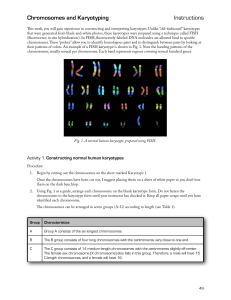 Chromosomes and Karyotyping Instructions