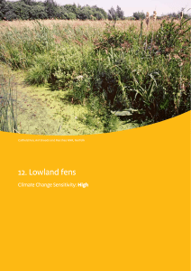 12. Lowland fens - Natural England publications