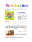 Tips on Nutrition Fun Facts Grains