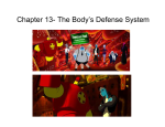 Chapter 13- The Body`s Defense System