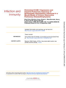 Diminished ICAM-1 Expression and