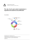 The role of cell cycle control mechanisms in regulated and