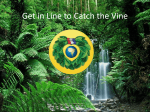 Get in Line to Catch the Vine - Mercer Island School District