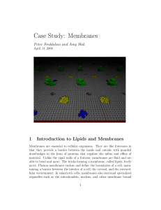 Case Study: Membranes - Theoretical and Computational